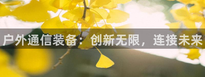 新宝gg_