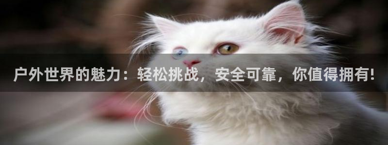 宝GG账78778新宝GG俪78778
