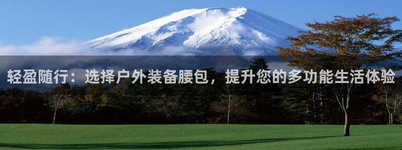 怎么代理新宝gg