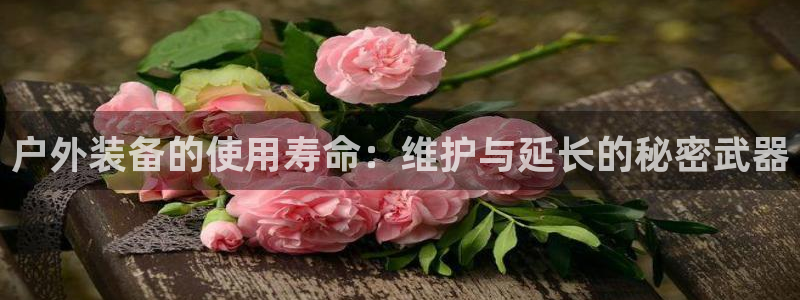 新宝gg登