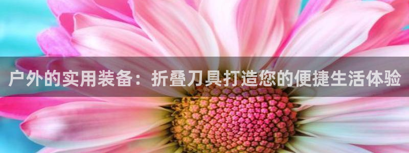 新宝gg 彩票