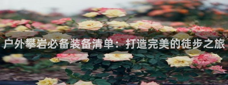 新宝gg在哪开户