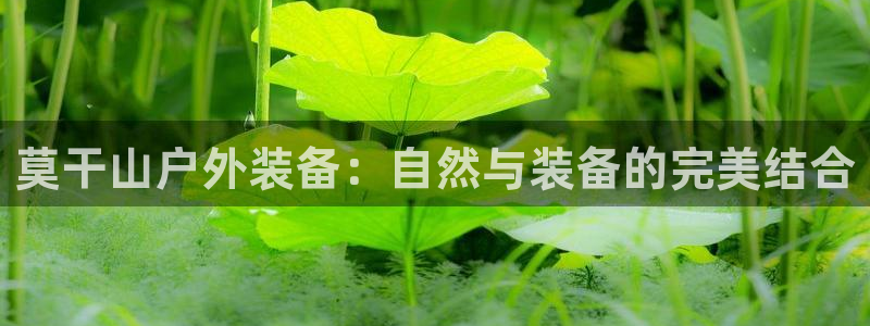 新宝 gg 下载