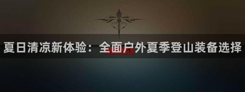 认准新宝gg