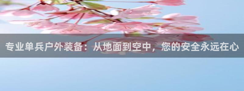 新宝GG上级