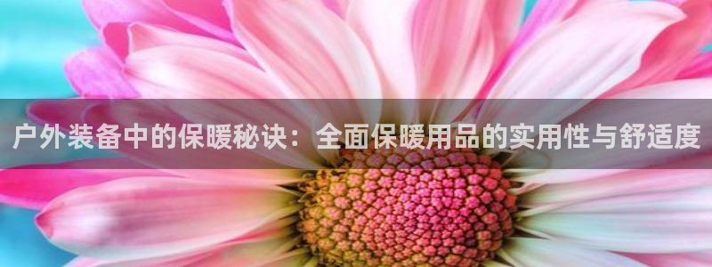 新宝太阳gg