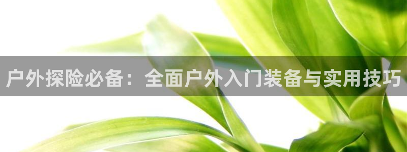 新宝gg真的