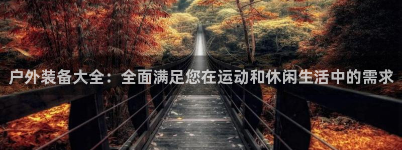 新宝gg平台连接