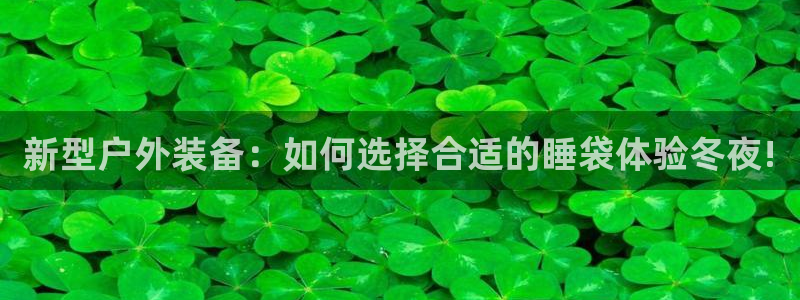 新宝gg 创