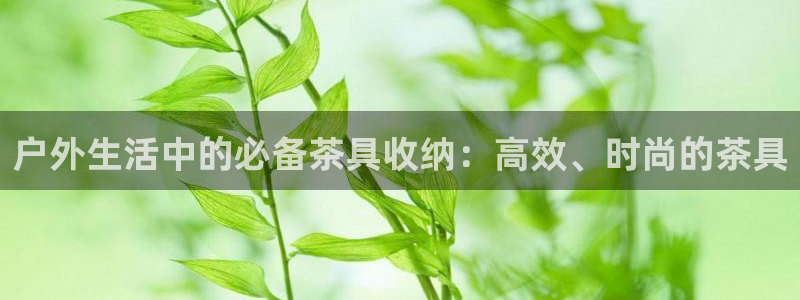 新宝gg返点