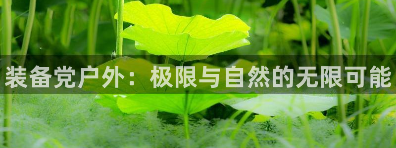 新宝gg 内部 8