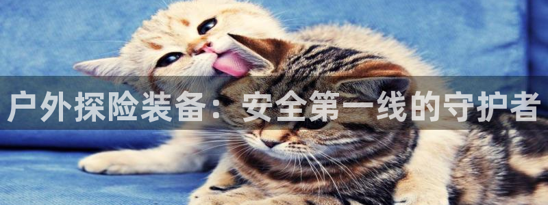 新宝gg 首页
