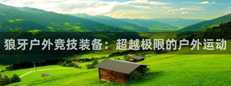 网站是新宝gg