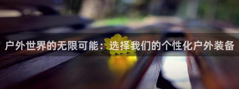 新宝gg辅助