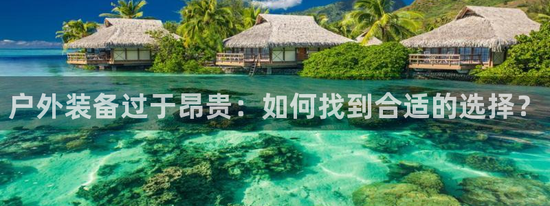 新宝gg平台反水