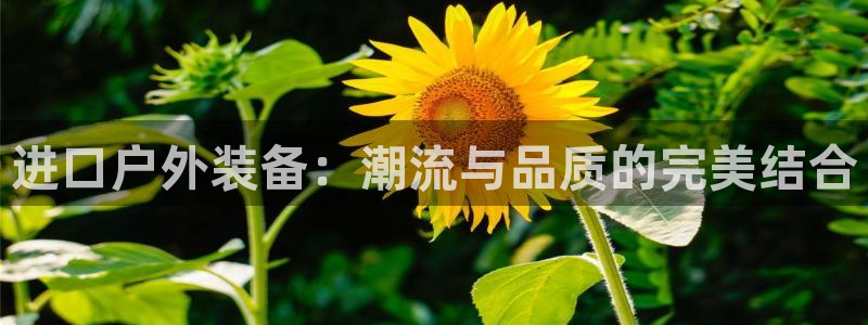 新宝gg一创造奇迹
