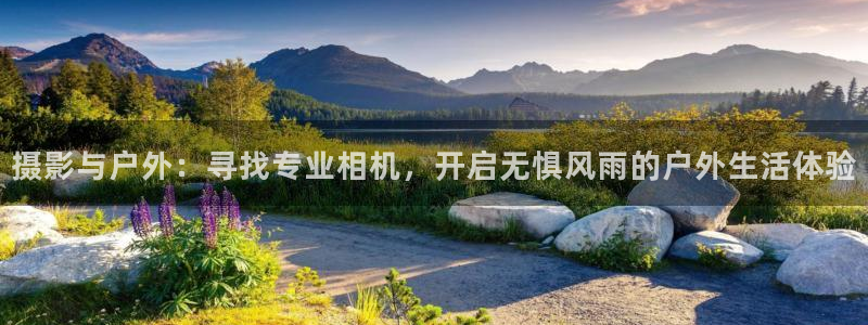 新宝gg注册网站