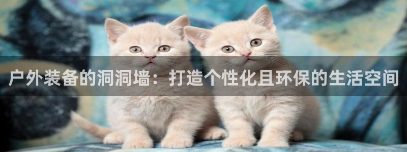 新宝GG娱乐-上皇巢网