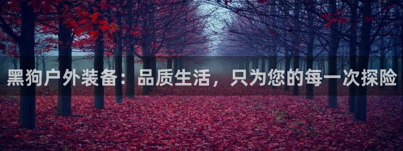 新宝gg样