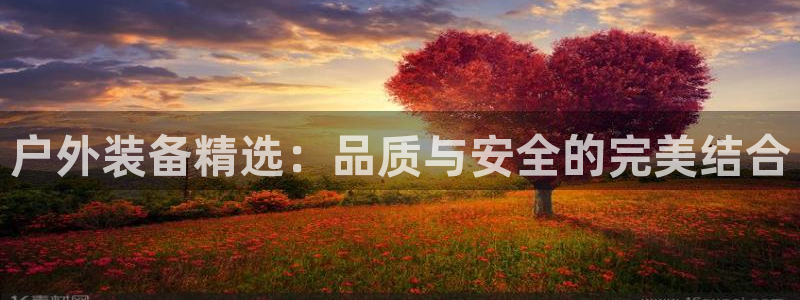 新宝gg登陆新