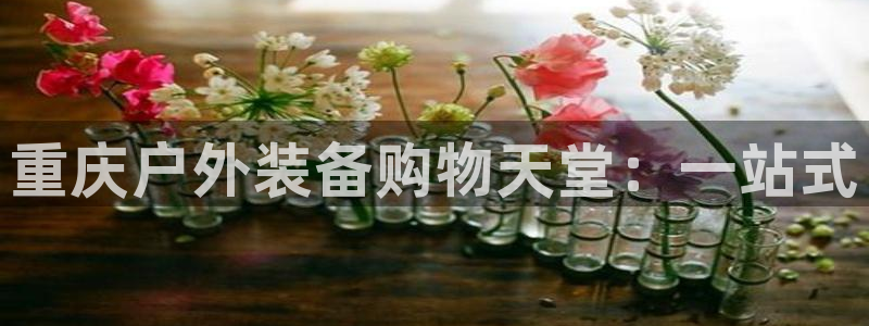 新宝gg怎么样