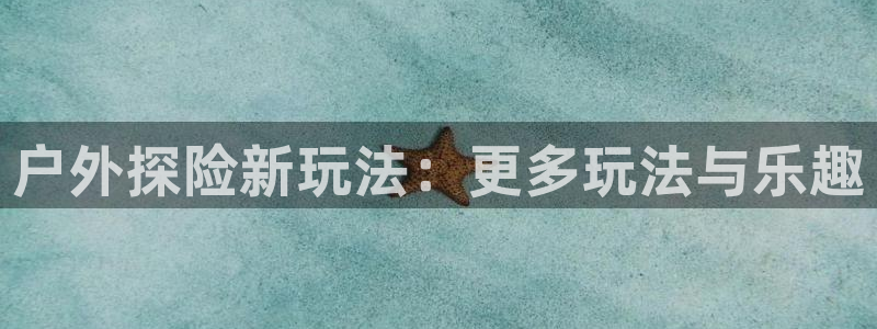 网站是新宝gg