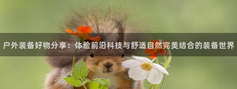 新宝gg如何赚钱