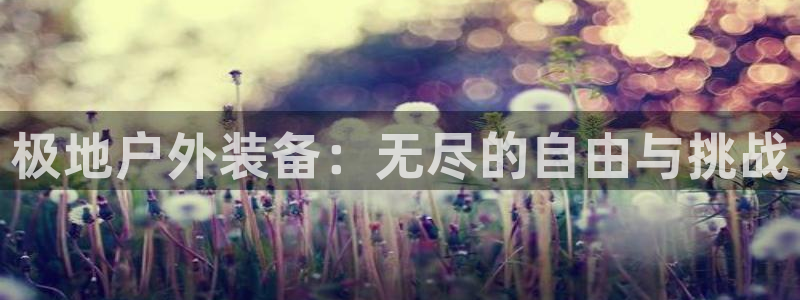 新宝gg娱乐首页