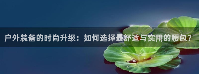 怎么下载新宝gg