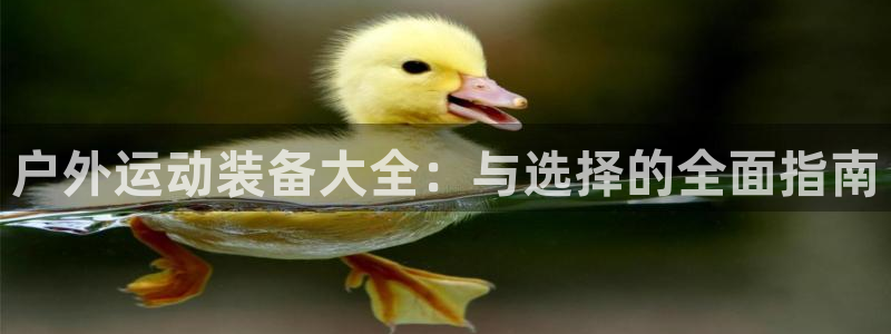 新宝gg手机注册官网