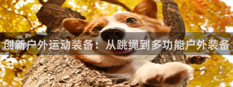 新宝GG登录网页