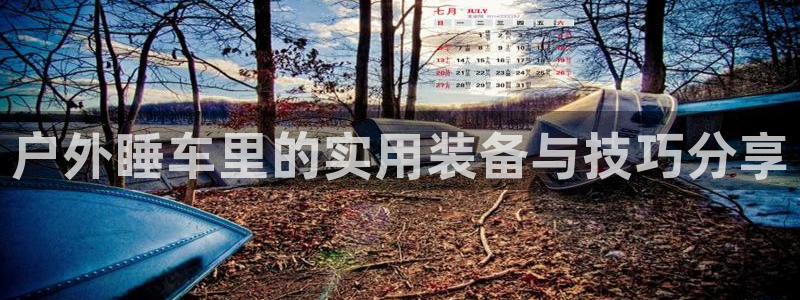 新宝gg首页平台