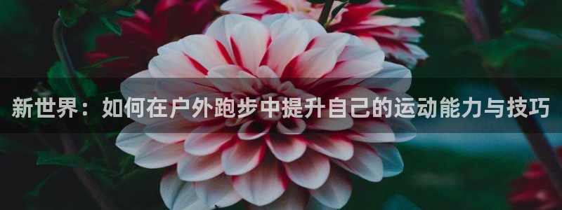 怎么下载新宝gg
