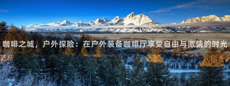 新宝gg建立团队