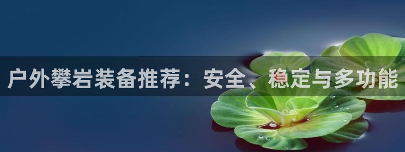 新宝GG手机客户端