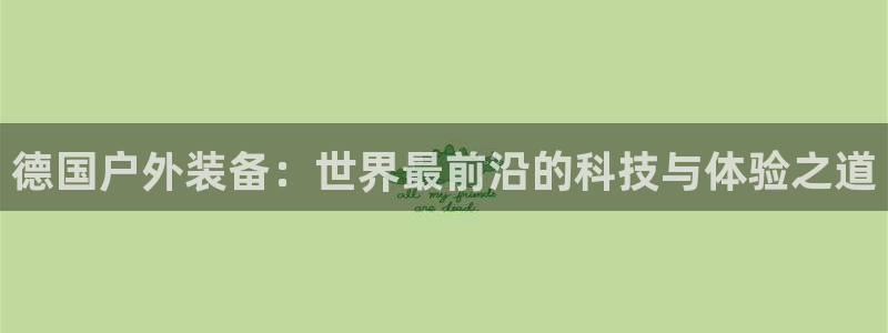 新宝GG主管41333