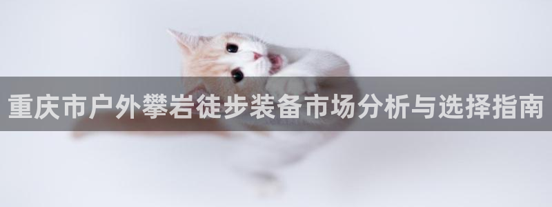 新宝gg线长