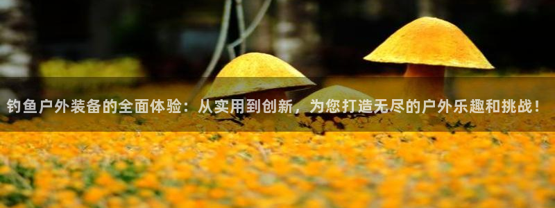 新宝给gg