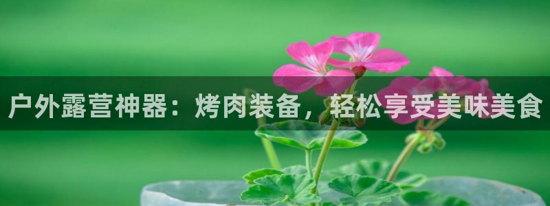 新宝gg和新宝123