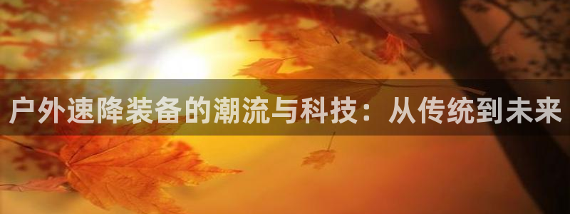 新宝 gg 下载