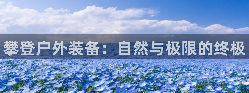 新宝GG用哪个网址登录