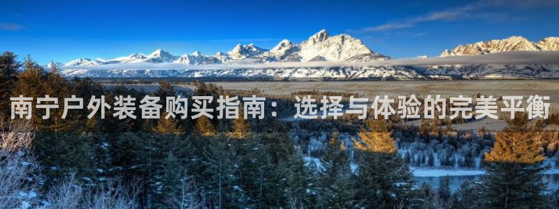 新宝gg 平台怎么样