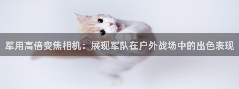 新宝gg平台开户