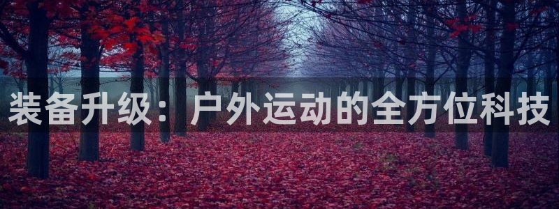 正版新宝gg