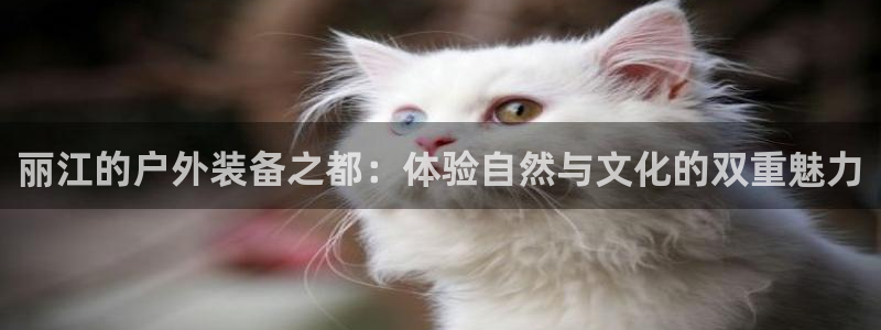 新宝gg 网址