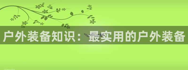 新宝gg建立团队