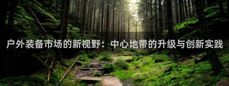 新宝gg如何代理