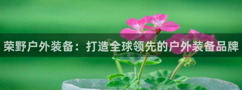 新宝gg是在境外吗