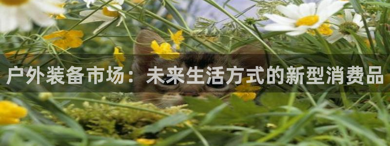 新宝gg建立团队