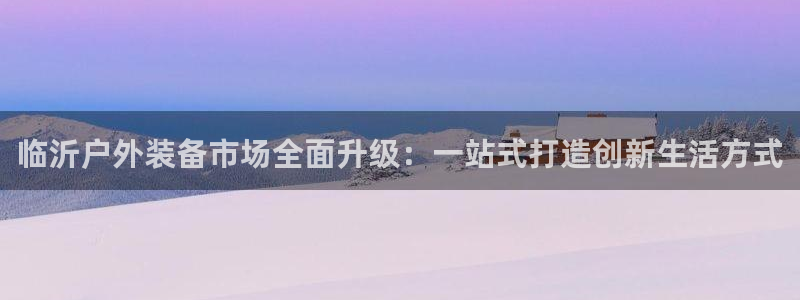 新宝gg招商致胜团队